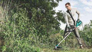 Бензокоса для ідеальної ділянки: як обрати надійну мотокосу