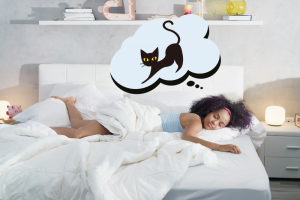 К чему снится черный кот: толкование сна
