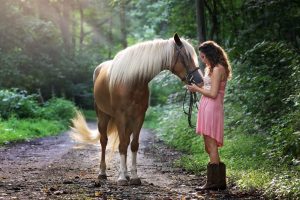5 ошибок при первом общении с лошадью
