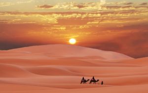 8 найбільших пустель у світі