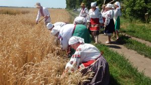 Украинские обряды и обычаи, связанные с жатвой