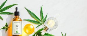 Как справиться с проблемами нервной системы: CBD масло и ежовик