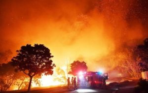 В Австралии сейчас жарко: бушуют лесные пожары