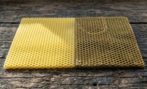 Прополісована вощина: маркетинговий хайп чи реальний імунітет для бджіл?