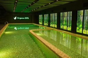 SPA-отель «ШишкіNN»: описание, цены, отзывы