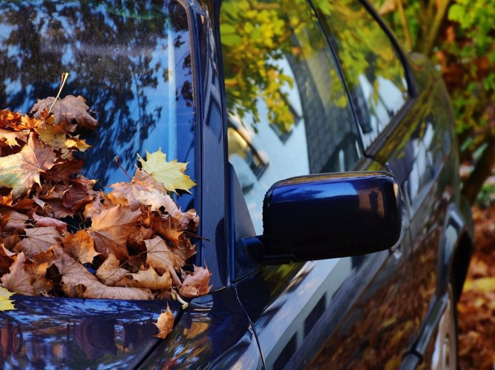 Як підготувати авто до осені